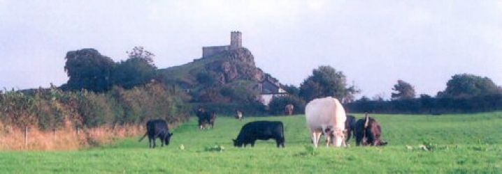 View of Brentor church from the garden