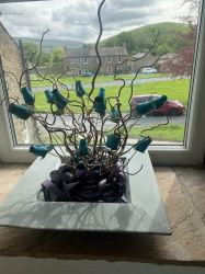 View from Sitting Room window