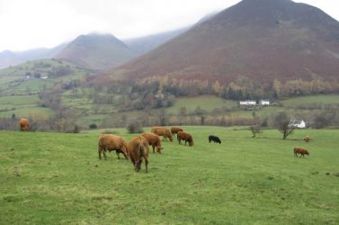 View from The Swinside Inn