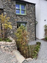 The Mouse House garden