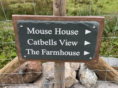 The Mouse House