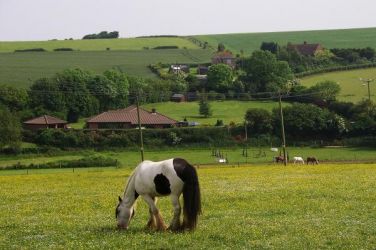 View of house from public footpath (not my horse!)