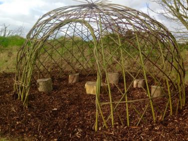 New for 2016, a living Willow Dome :-)