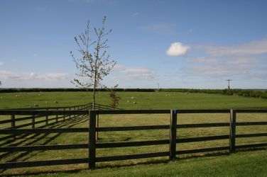Enjoy a stroll around our paddocks