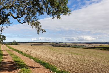Glorious walking country