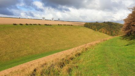 The beauty of the Yorkshire Wolds