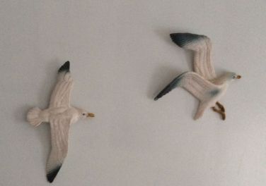 These seagulls won't steal your sandwiches!