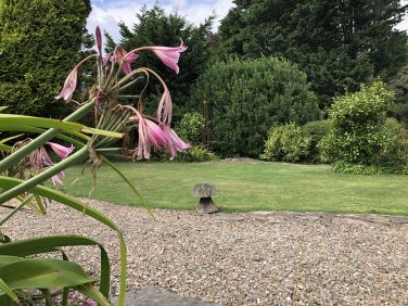 Rest Cottage