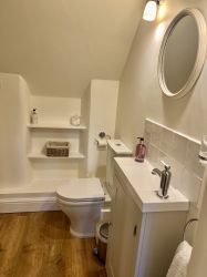 Compact pretty ensuite with shower, WC, vanity basin and heated towel rail