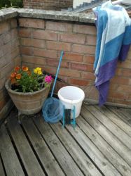 Two for one! Forest and Beach together