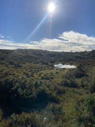 Glorious autumnal sunshine  ( October in the New Forest )