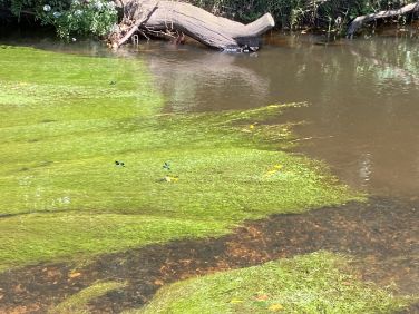 Colours of the summer