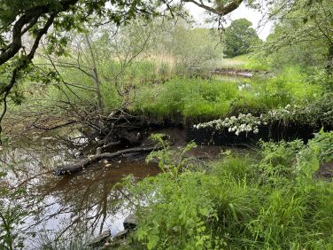 The wellie walk - remnants of days gone by - an old brick harbour