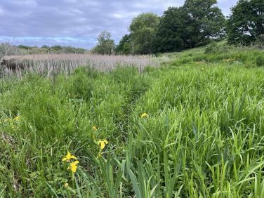 Worth the wellies ! Along the river below Spout house studio