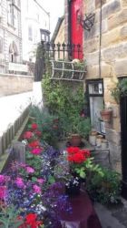 Flowers throughout the year in the small outside seating area