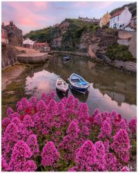 Roxby Beck in Staithes