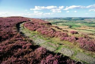 Cleveland Way and the Moors in the National Park