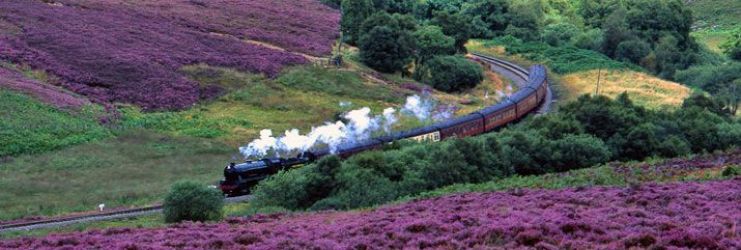 Take a trip through beautiful scenery on the North York Moors Steam Railway