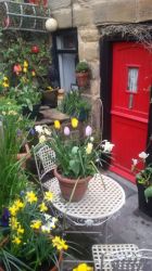 Springtime at Staithes Holiday Cottage