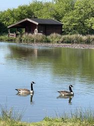 Fishing Lake