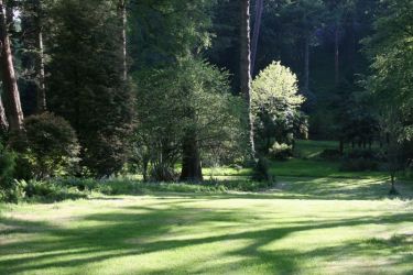 The outer garden at Tregrehan in May