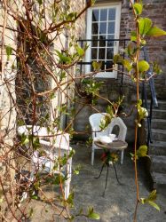 Spry's courtyard early spring