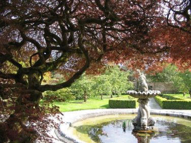 Tregrehan Garden walled garden