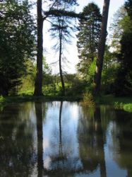 Tregrehan Garden outer garden