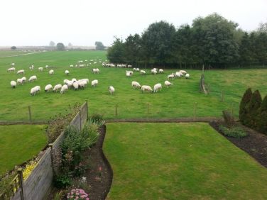 View from the main bedrooms