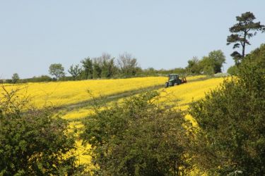 Hyde Farm Cottages