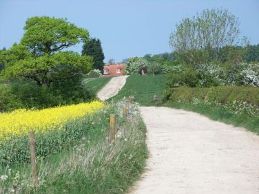 Harvest Moon and Winters Tale Only...