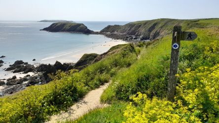 Pembrokeshire Coast Path at Marloes