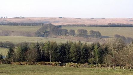 The view at Honeymead Farmhouse