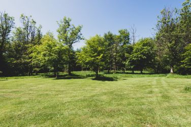 Large lawn
