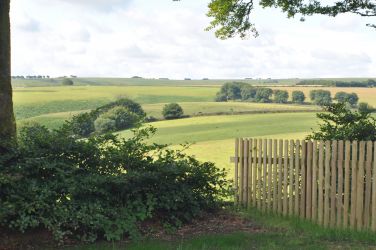 View from Honeymead