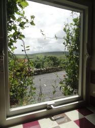 View from kitchen window