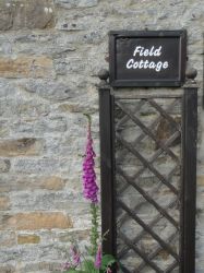 Field Cottage
