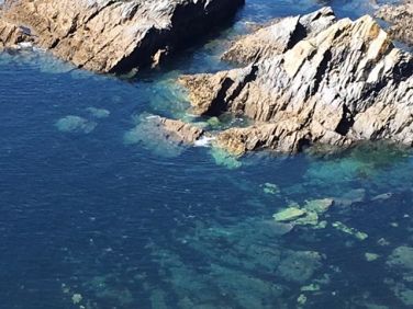 View from Coastal walk