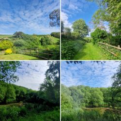 A walk around Dittiscombe rewilding project