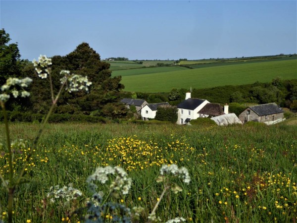 Dittiscombe Estate & Cottages