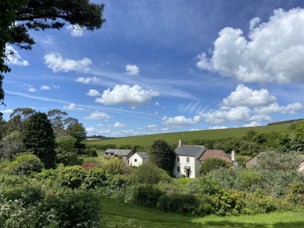 Dittiscombe Estate & Cottages