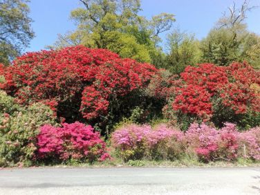 Muncaster Castle