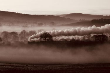 Steam train in the mist view from the garden