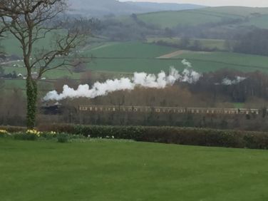 Steam Train from the garden