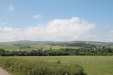 View from the garden