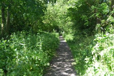 Lovely walks right from the door