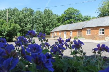 The Stables