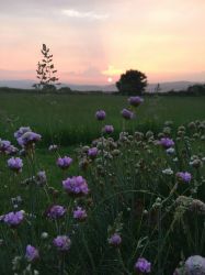 Sunset at West Lampetho
