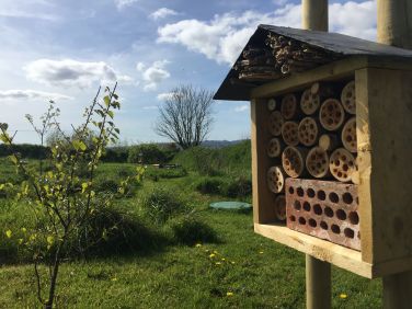 Bee Hotel in the wildlife area