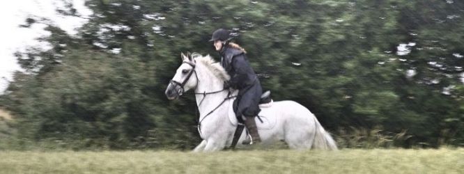The Hayloft at Fullers Hill